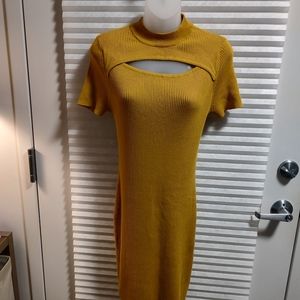 Mustard Colored Stretch Dress